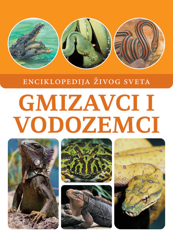 Korica knjige Gmizavci i vodozemci
