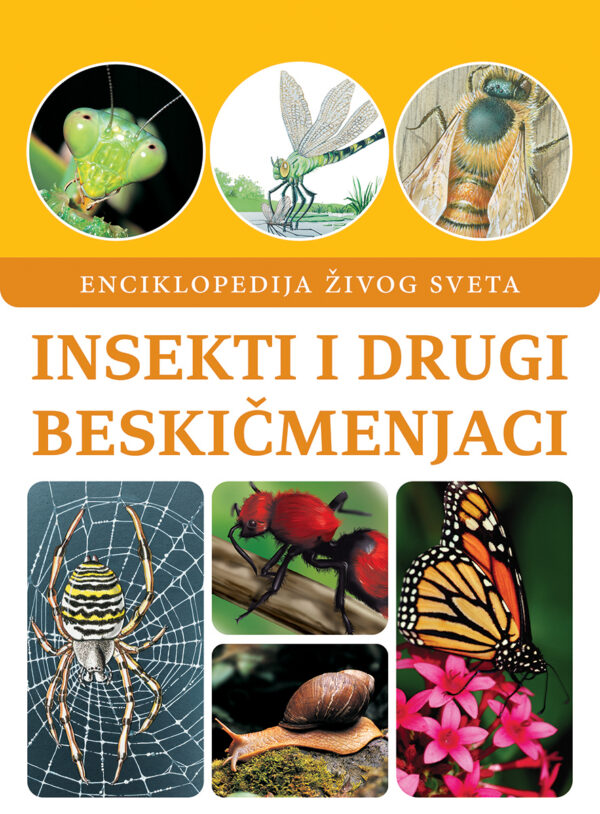 Korica knjige Insekti i drugi beskičmenjaci