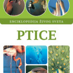 Korica knjige ptice